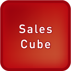 Sales Cube